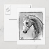Paardenkop Kool trekken Equine art Briefkaart (Voorkant / Achterkant)