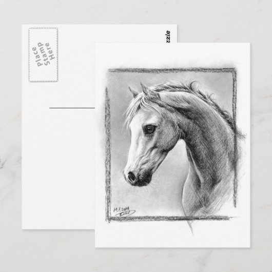 Paardenkop Kool trekken Equine art Briefkaart (Voorkant / Achterkant)