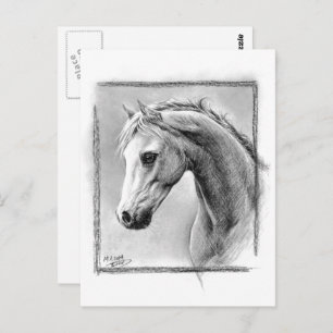 Paardenkop Kool trekken Equine art Briefkaart