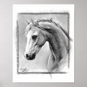 Paardenkop Kool trekken Equine art Poster (Voorkant)
