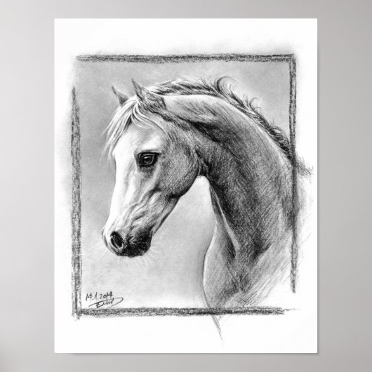 Paardenkop Kool trekken Equine art Poster (Voorkant)