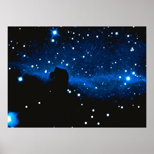 Paardenkop Nebula Poster (Voorkant)