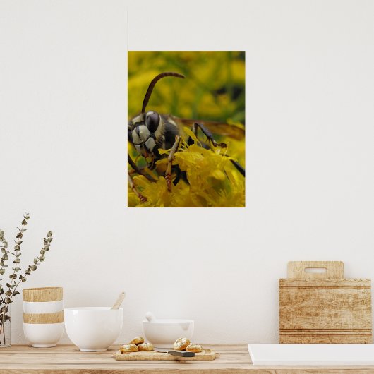 Paardenkop Poster (Keuken)