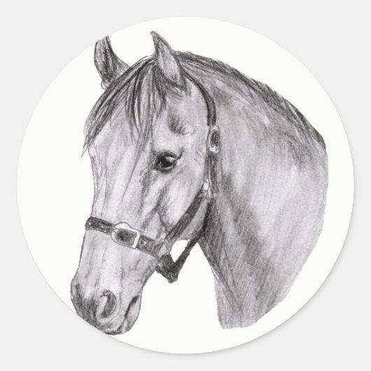 paardenkop ronde sticker (Voorkant)