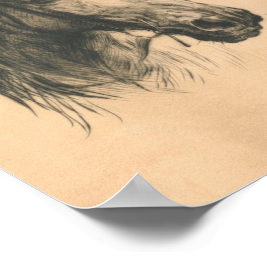 Paardenkop van Heywood Hardy Poster (Hoek)