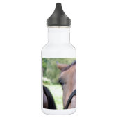 Paardenkop Waterfles (Links)