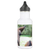 Paardenkop Waterfles (Rechts)