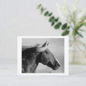 Paardenkop zwart/wit briefkaart (Staand voorkant)