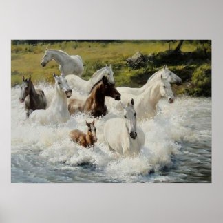 Paardenkoppel, Papier poster