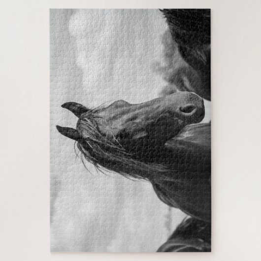 paardenkoppuzzel legpuzzel (Verticaal)