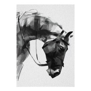 Paardenkracht in monochroom foto afdruk