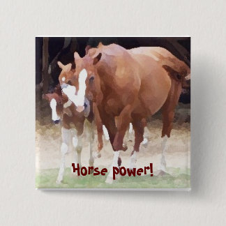 Paardenkracht! Knoop Vierkante Button 5,1 Cm