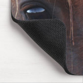 Paardenkruid Muismat (Hoek)