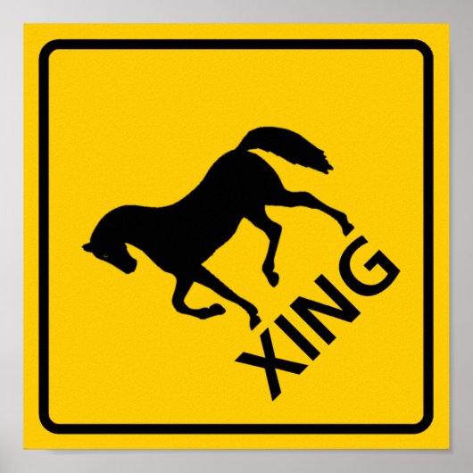 Paardenkruising Poster (Voorkant)