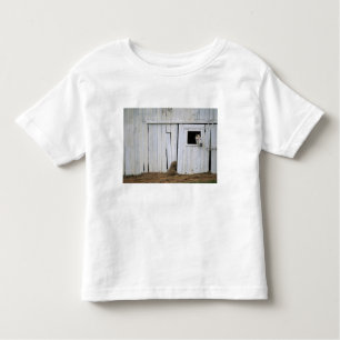 Paardenkruk uit het raam kinder shirts