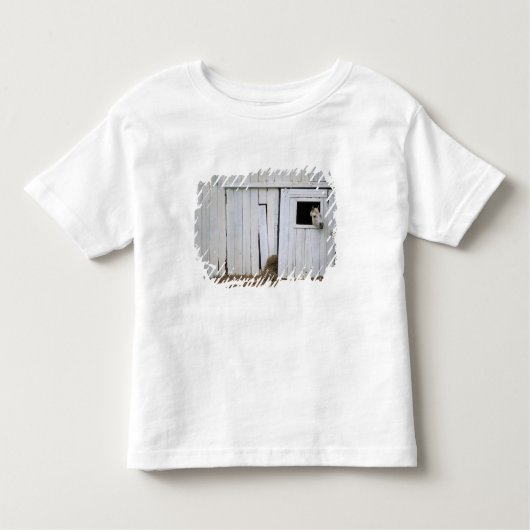 Paardenkruk uit het raam kinder shirts (Voorkant)