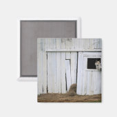 Paardenkruk uit het raam magneet (Voorkant / Achterkant)