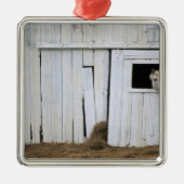 Paardenkruk uit het raam metalen ornament (Voorkant)