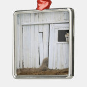 Paardenkruk uit het raam metalen ornament (Links)