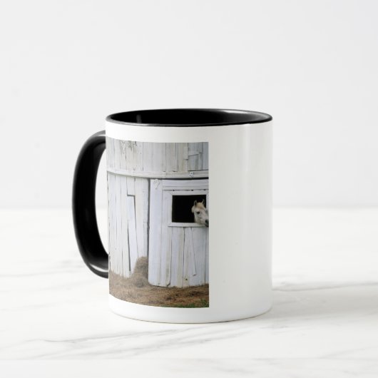 Paardenkruk uit het raam mok (Voorkant links)