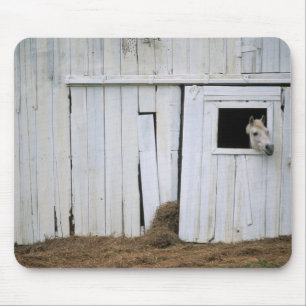 Paardenkruk uit het raam muismat