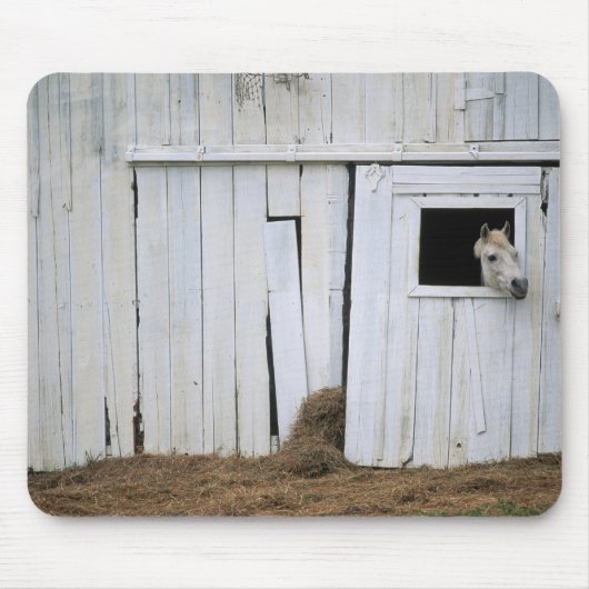 Paardenkruk uit het raam muismat (Voorkant)