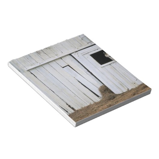 Paardenkruk uit het raam notitieblok (Schuin)