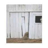 Paardenkruk uit het raam notitieblok (Voorkant)