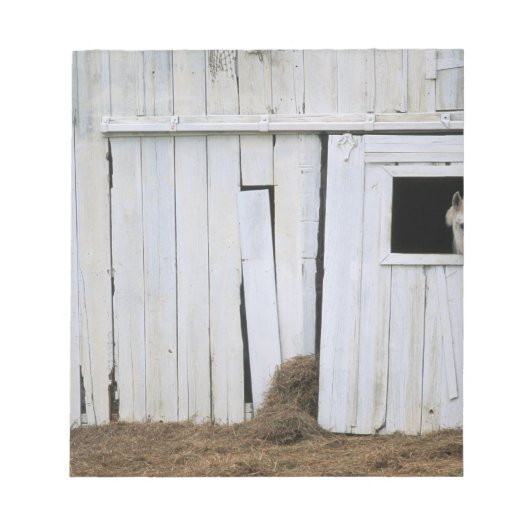 Paardenkruk uit het raam notitieblok (Voorkant)