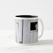 Paardenkruk uit het raam tweekleurige koffiemok (Voorkant rechts)