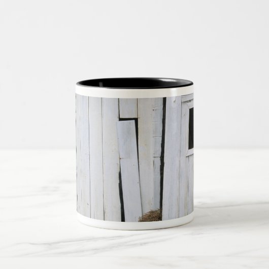 Paardenkruk uit het raam tweekleurige koffiemok (Center)