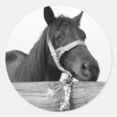 Paardenkrukken Ronde Sticker (Voorkant)