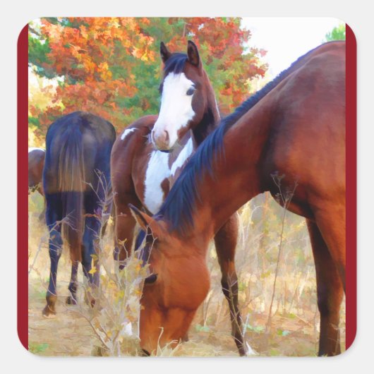 Paardenkrukken Vierkante Sticker (Voorkant)