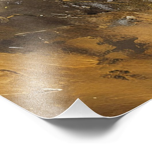 Paardenkudde Galloping Mustang Schilderij Decoupag Foto Afdruk (Hoek)