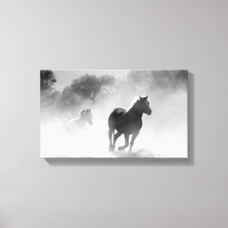 paardenkudde | Zwart-wit Canvas Afdruk