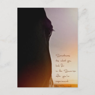 Paardenkunst en inspirerend citaat briefkaart