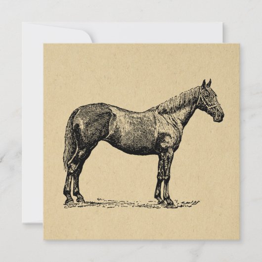  paardenkunst geïllustreerd paardenkunst feestdagenkaart (Voorkant)