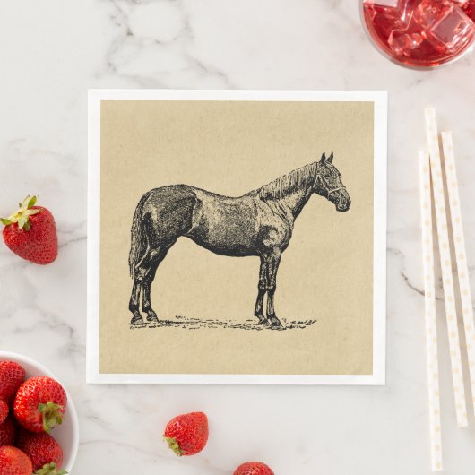 paardenkunst geïllustreerd paardenkunst servet (Insitu)