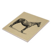  paardenkunst geïllustreerd paardenkunst tegeltje (Zijkant)
