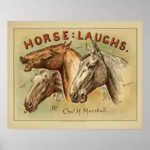 Paardenlachen  kleurenafdrukken Hoesje Poster