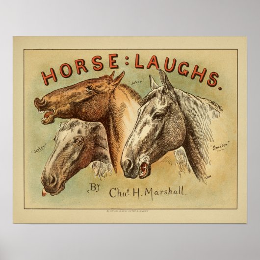Paardenlachen  kleurenafdrukken Hoesje Poster (Voorkant)