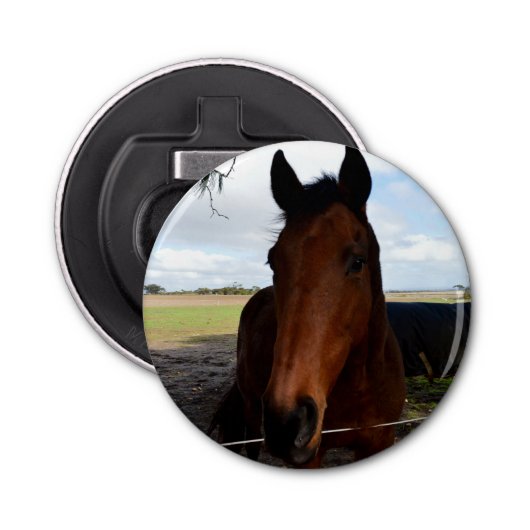 Paardenland Button Flesopener (Voorkant)