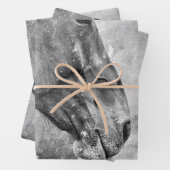 Paardenland Roestzwart en witontkoppeling Inpakpapier Vel (In situ)