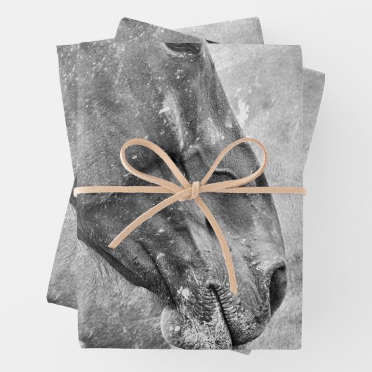 Paardenland Roestzwart en witontkoppeling Inpakpapier Vel (In situ)