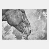 Paardenland Roestzwart en witontkoppeling Inpakpapier Vel (Voorkant)