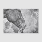 Paardenland Roestzwart en witontkoppeling Tissuepapier (Voorkant)