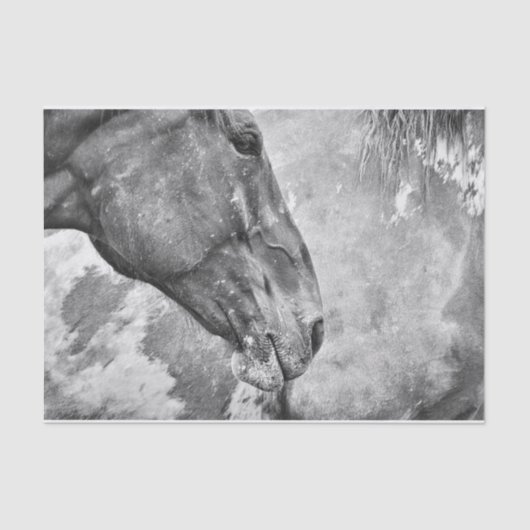 Paardenland Roestzwart en witontkoppeling Tissuepapier (Voorkant)