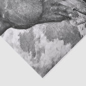 Paardenland Roestzwart en witontkoppeling Tissuepapier (Detail)