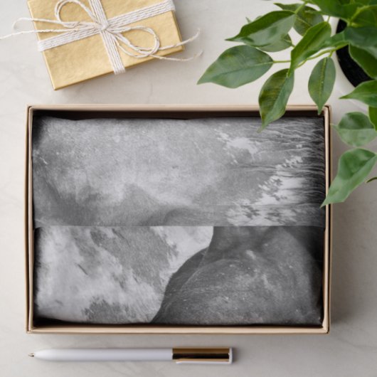 Paardenland Roestzwart en witontkoppeling Tissuepapier (Geschenk)