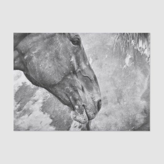 Paardenland Roestzwart en witontkoppeling Tissuepapier (Voorkant)